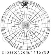 Poster, Art Print Of Retro Vintage Black And White Spider Making A Web