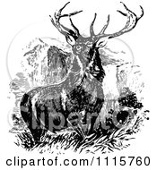 Poster, Art Print Of Retro Vintage Black And White Stag Buck Deer With Antlers 1