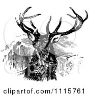 Poster, Art Print Of Retro Vintage Black And White Stag Buck Deer With Antlers 2