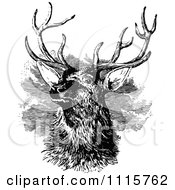 Poster, Art Print Of Retro Vintage Black And White Stag Buck Deer With Antlers 3