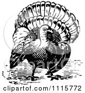 Clipart Retro Vintage Black And White Turkey Bird Royalty Free Vector Illustration by Prawny Vintage