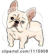 Poster, Art Print Of Cute French Bulldog