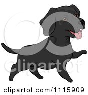 Poster, Art Print Of Cute Black Labrador Dog