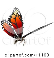 3d Monarch Butterfly Flying
