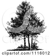 Clipart Retro Vintage Black And White Trees Royalty Free Vector Illustration