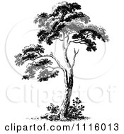 Clipart Retro Vintage Black And White Tree 2 Royalty Free Vector Illustration