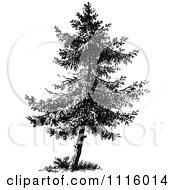 Clipart Retro Vintage Black And White Tree 3 Royalty Free Vector Illustration