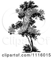 Clipart Retro Vintage Black And White Tree 4 Royalty Free Vector Illustration