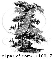 Clipart Retro Vintage Black And White Tree 6 Royalty Free Vector Illustration