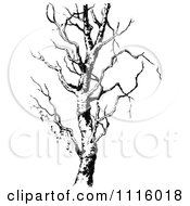 Clipart Retro Vintage Black And White Bare Tree 1 Royalty Free Vector Illustration