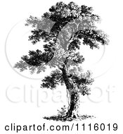 Clipart Retro Vintage Black And White Tree 7 Royalty Free Vector Illustration