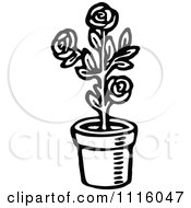 Poster, Art Print Of Retro Vintage Black And White Potted Rose Plant