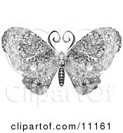 Elegantly Designed Butterfly With Swirls On Its Wings Clipart Illustration by AtStockIllustration