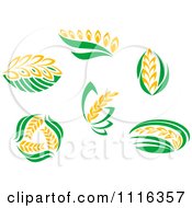 Strands Of Wheat And Green Leaves