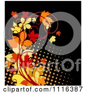 Poster, Art Print Of Scroll Vine With Autumn Leaves Over Halftone On Black