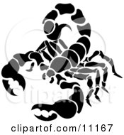 Scorpion Scorpius Of The Zodiac Clipart Illustration by AtStockIllustration