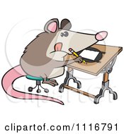 Artist Possum Drawing