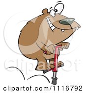 Poster, Art Print Of Bear Jumping On A Pogo Stick