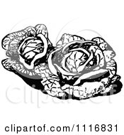 Clipart Of A Retro Vintage Black And White Cabbages Royalty Free Vector Illustration