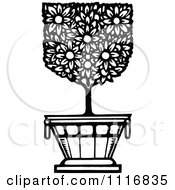 Clipart Of A Retro Vintage Black And White Flowering Shrub In A Pot 1 Royalty Free Vector Illustration