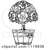 Clipart Of A Retro Vintage Black And White Flowering Shrub In A Pot 2 Royalty Free Vector Illustration