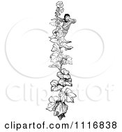 Clipart Of A Retro Vintage Black And White Boy Climbing A Beanstalk Royalty Free Vector Illustration