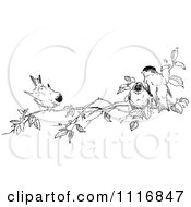 Clipart Of A Retro Vintage Black And White Branch With Birds Royalty Free Vector Illustration