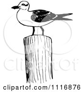 Retro Vintage Black And White Seagull On A Post