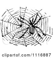 Poster, Art Print Of Retro Vintage Black And White Hairy Spider And Web