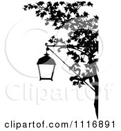 Retro Vintage Black And White Street Lamp And Tree Branch
