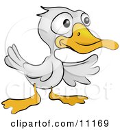 A Cute White Ducky With An Orange Beak And Feet