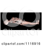 Clipart Of A 3d Female Medical Skeleton Arching Her Back In A Yoga Position Royalty Free CGI Illustration