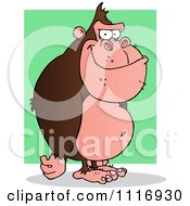 Clipart Of A Standing Brown Gorilla Over A Green Rectangle Royalty Free Vector Illustration