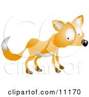 Poster, Art Print Of Nervous Or Shy Fox Looking Back Over His Shoulder