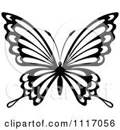 Poster, Art Print Of Black And White Butterfly 1