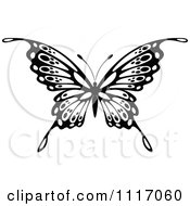 Poster, Art Print Of Black And White Butterfly 5