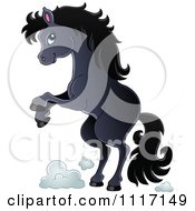 Poster, Art Print Of Cute Rearing Black Horse