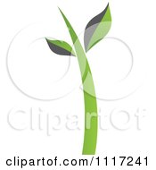 Vector Clipart Of A Green And Black Green Sustainable Energy Seedling Royalty Free Graphic Illustration