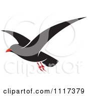Poster, Art Print Of Flying Black Seagull