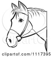 Poster, Art Print Of Black And White Horse Head With Reins 1