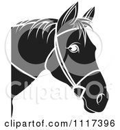 Poster, Art Print Of Black And White Horse Head With Reins 2