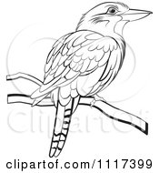Poster, Art Print Of Black And White Perched Kookaburra Bird