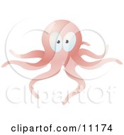 Poster, Art Print Of Pink Octopus With Long Tentacles
