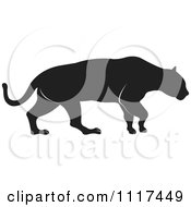 Poster, Art Print Of Silhouetted Jaguar
