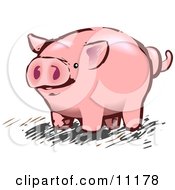 Pink Pig With A Curly Tail Clipart Illustration