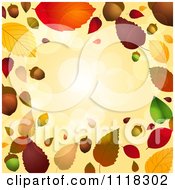 Autumn Border Of Acorns And Fall Leaves With Flares