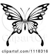 Poster, Art Print Of Black And White Butterfly 8