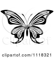 Poster, Art Print Of Black And White Butterfly 10