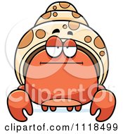 Poster, Art Print Of Bored Hermit Crab