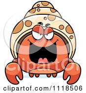 Sly Hermit Crab